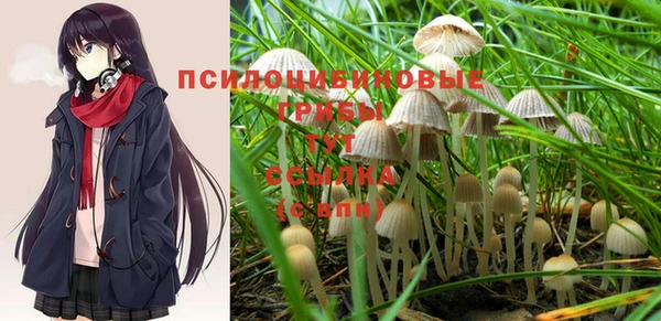 сатива Белокуриха