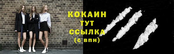 сатива Белокуриха