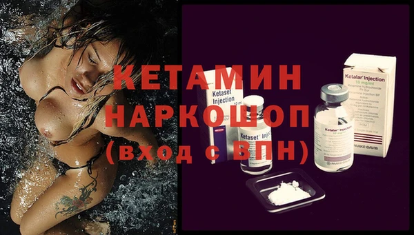сатива Белокуриха