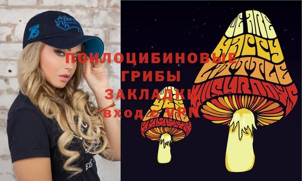 дживик Беломорск
